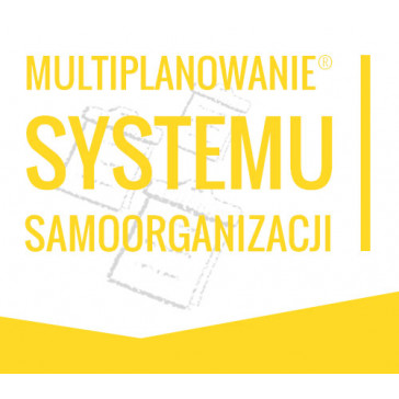 Multiplanowanie SYSTEMU SAMOORGANIZACJI - indywidualne ON-LINE 