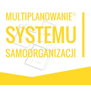 Multiplanowanie SYSTEMU SAMOORGANIZACJI - dla Grup